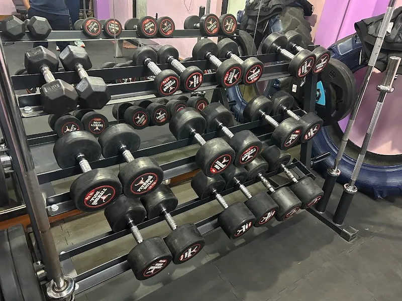 JJ Gym