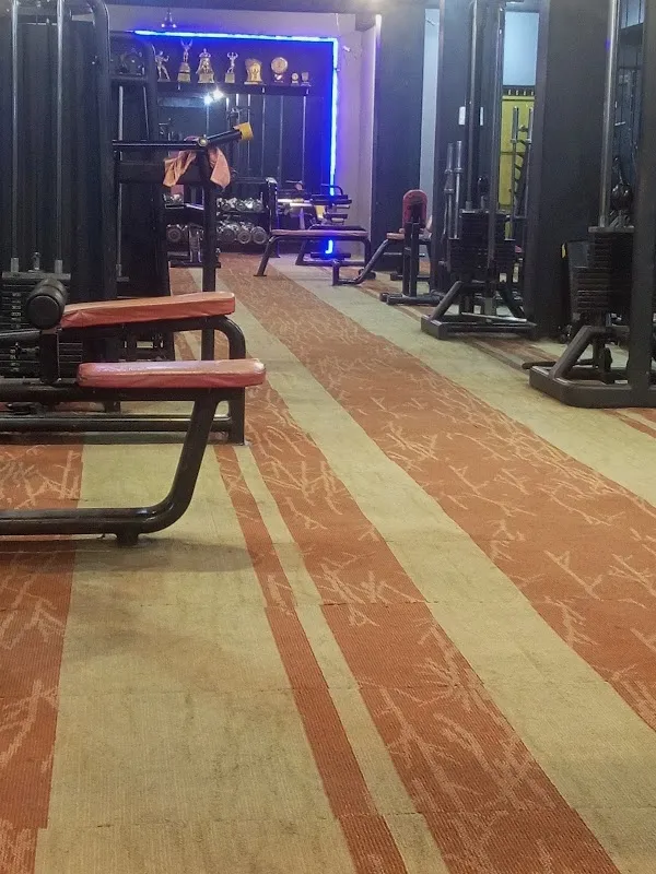 flex fitness gym