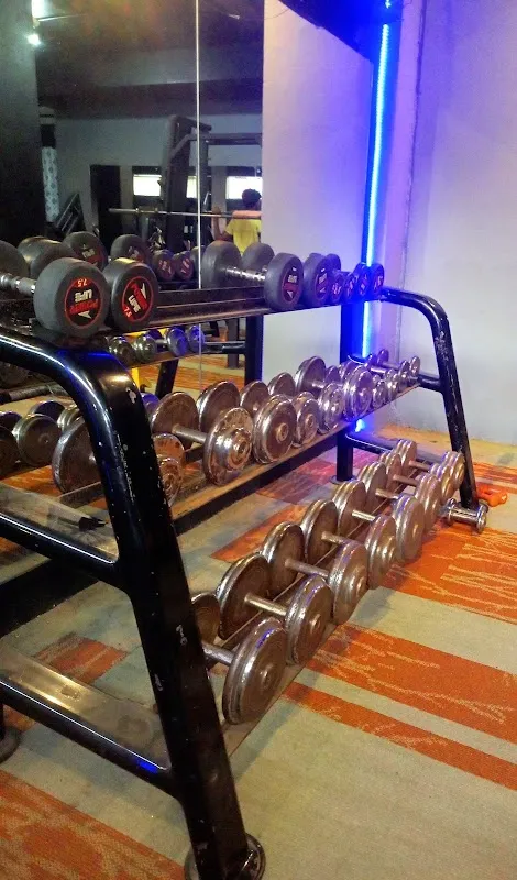 flex fitness gym