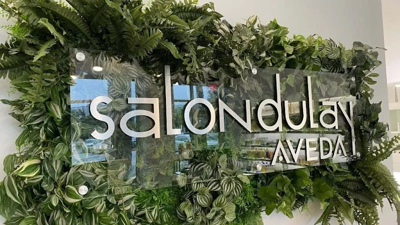 Salon Dulay - Mills 50 District
