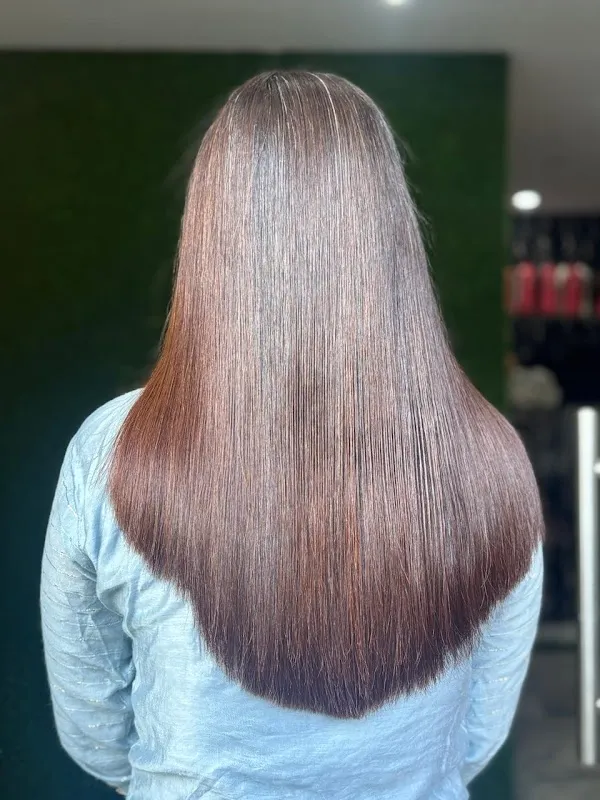 Salon V