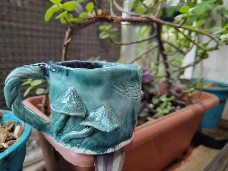 Nature's Canvas Studio