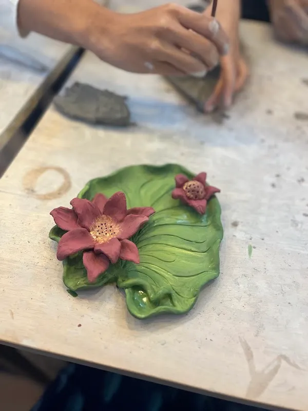 Nature's Canvas Studio