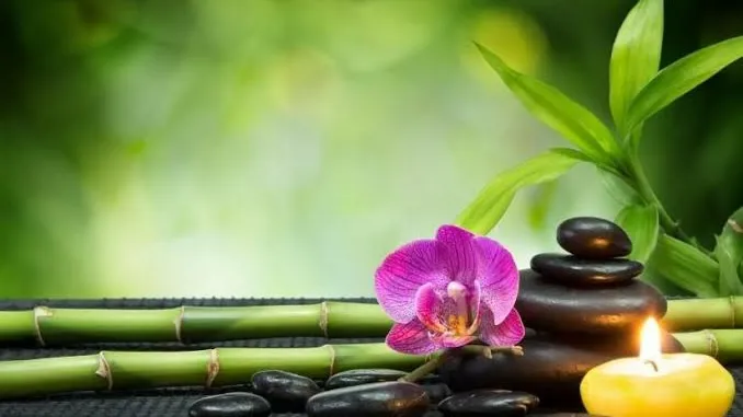 Pure Harmony Spa