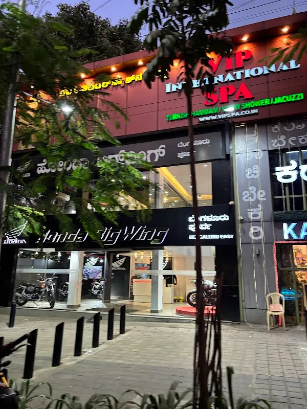 VIP International