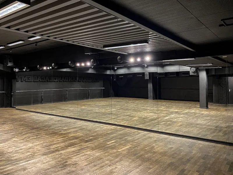 Scandinavian Dance Academy