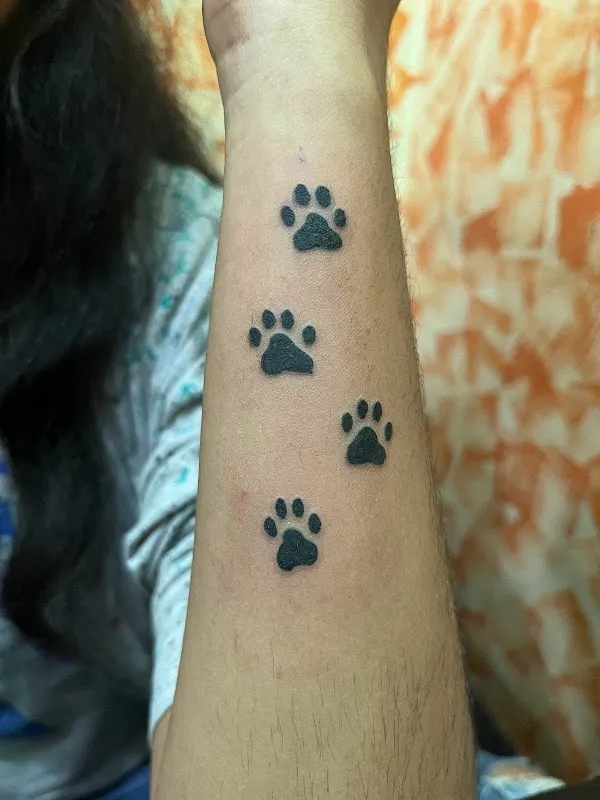 Mayil Tattoo Studio