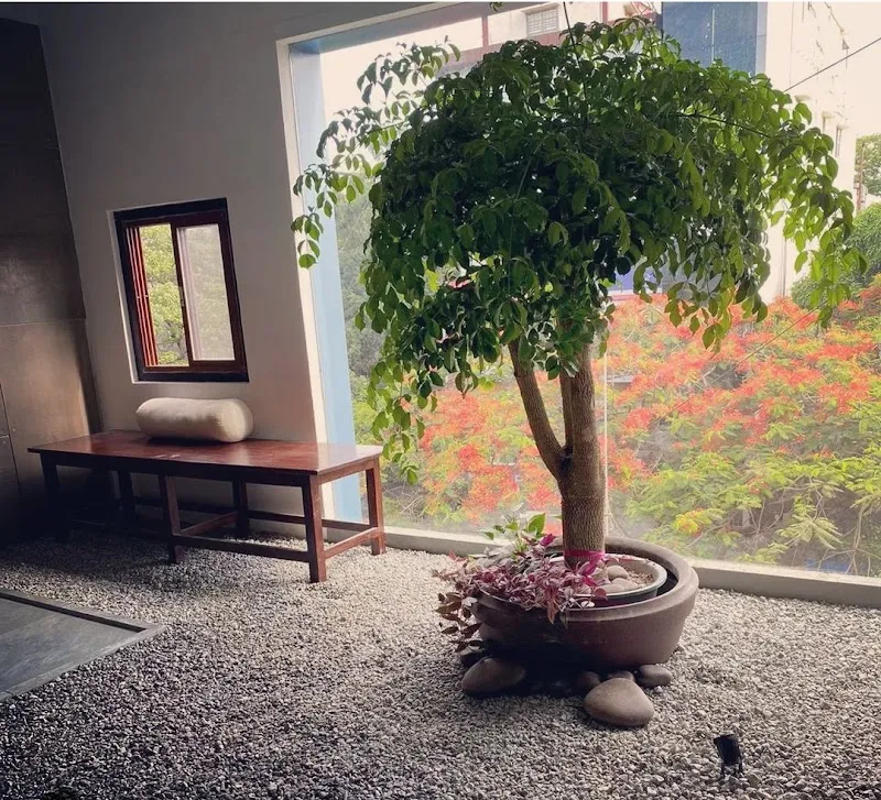 Aayana Yoga Academy- Transformative Yoga Classes