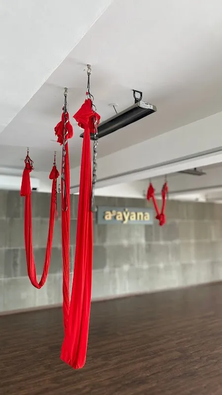 Aayana Yoga Academy- Transformative Yoga Classes