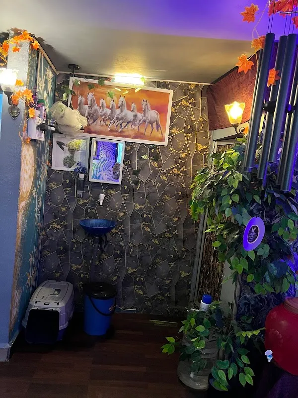 ATOOL TATTOO STUDIO