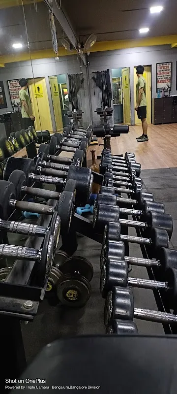Fat2Fit