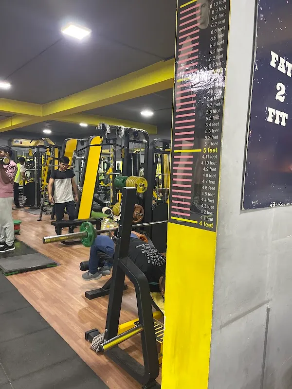 Fat2Fit