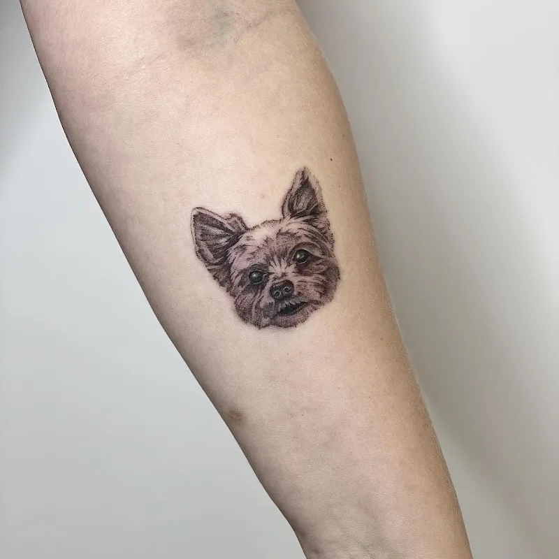 Public Tattoo