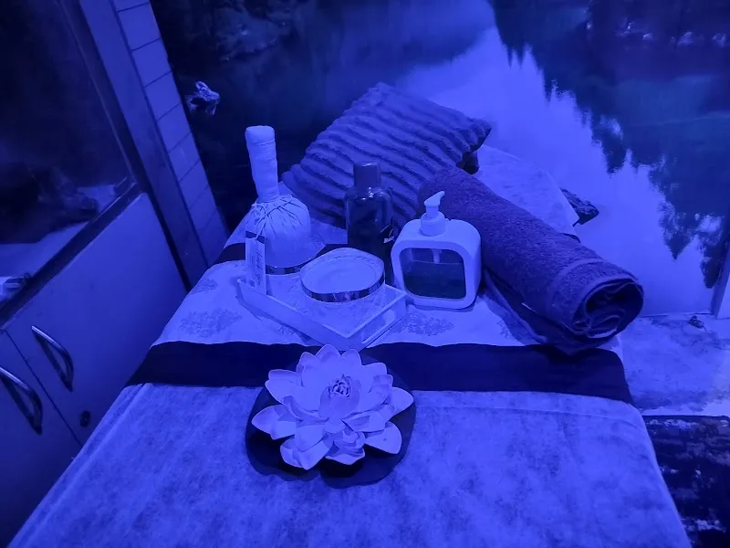 Aroma Ayurvedic Spa & Salon