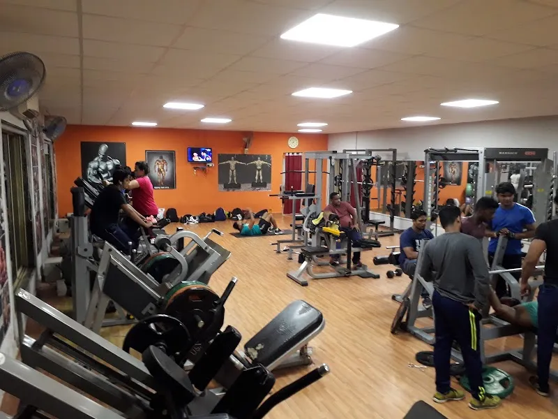 Shapeup Weight Loss/Gain & Fitness