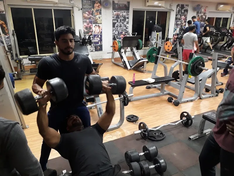Shapeup Weight Loss/Gain & Fitness