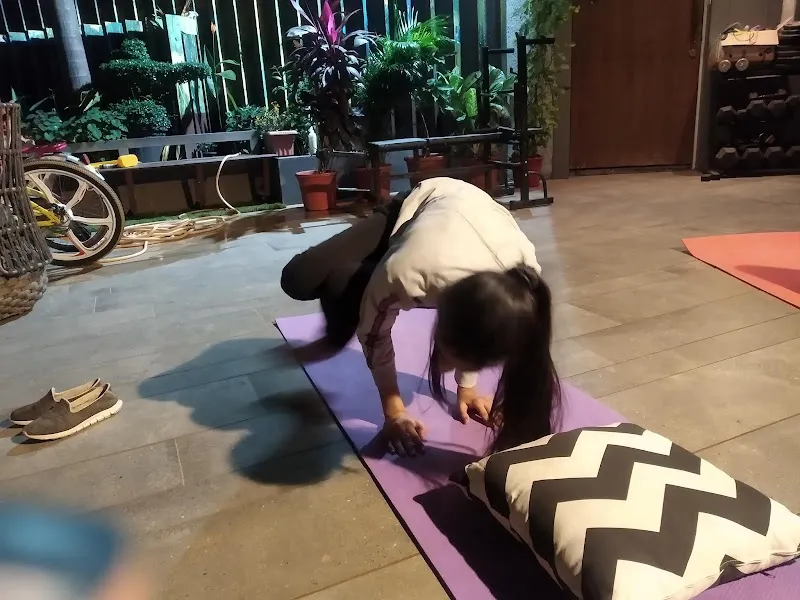 Yog fitness studio