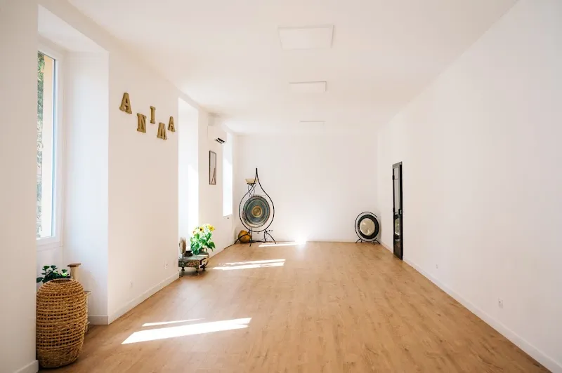 Anima Flow Studio