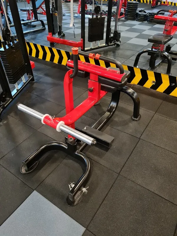 The Workout Zone, Unisex Gym
