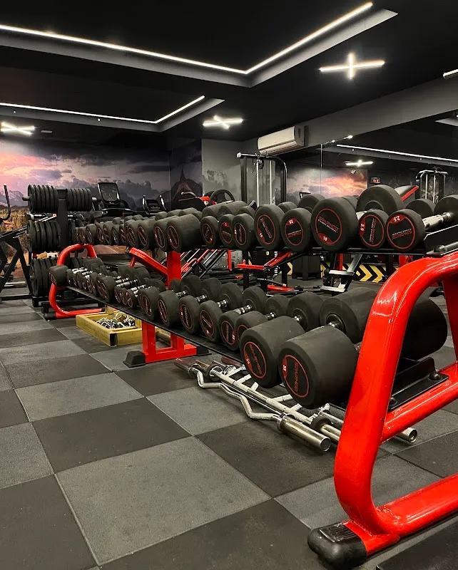 The Workout Zone, Unisex Gym