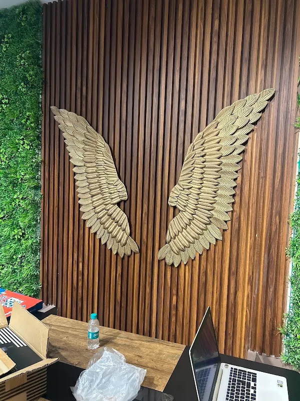 The Shuffle Studio