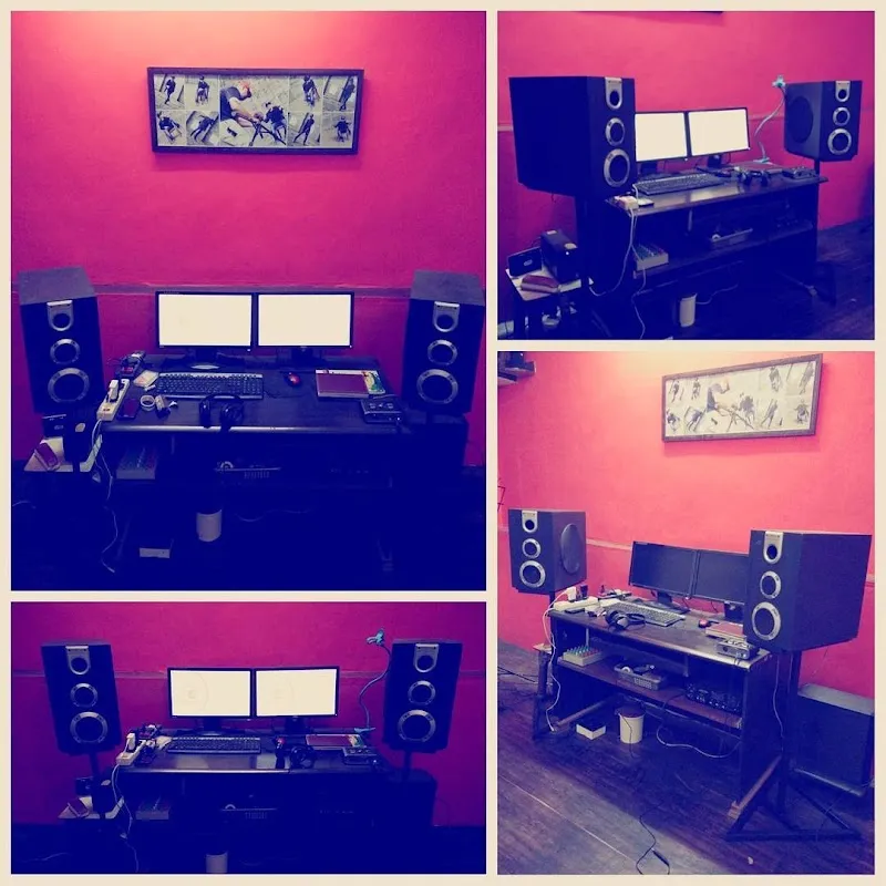 Yolo Studio