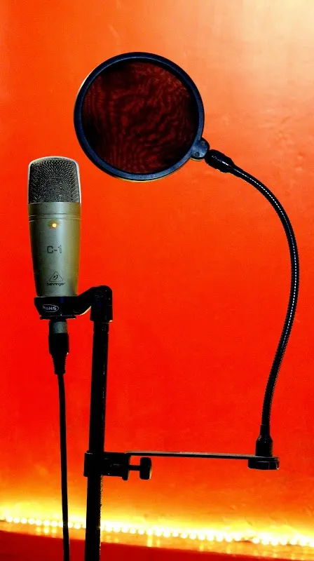 Yolo Studio