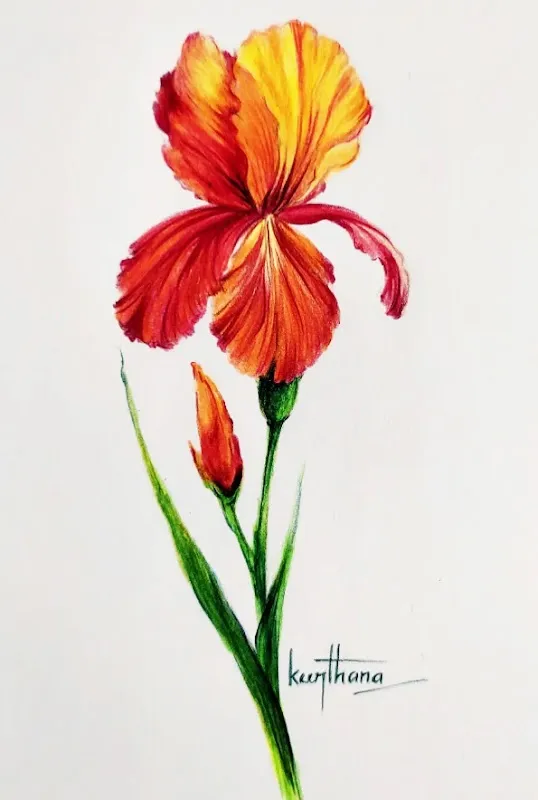 Aadim Art Studio