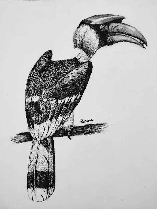 Aadim Art Studio