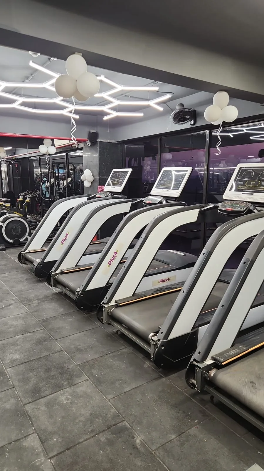 Knockout fitness