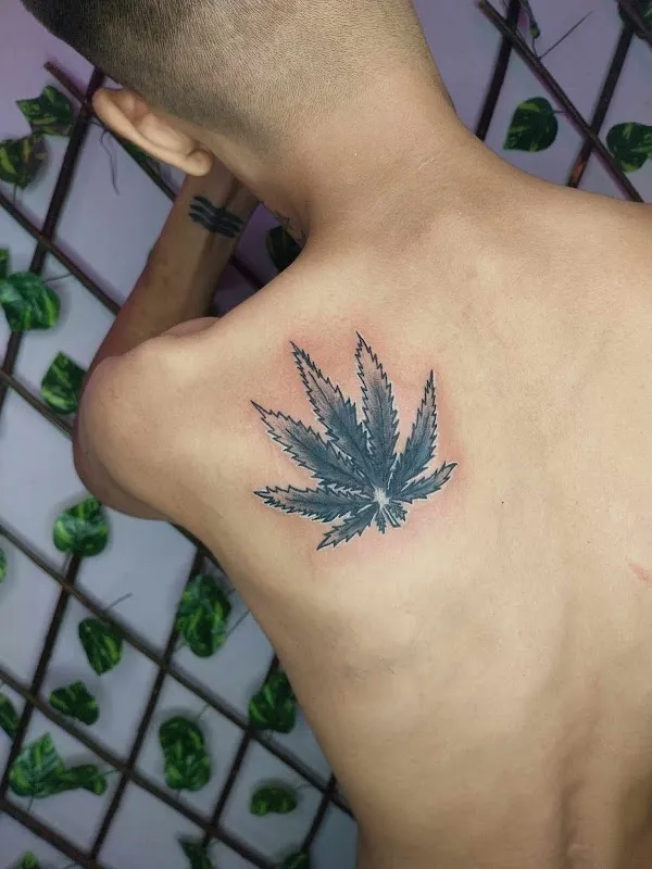 Paali Tattoo & Art Studio