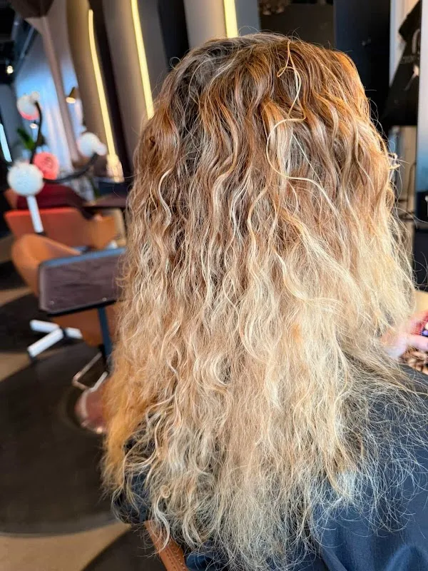 Indie Mane North