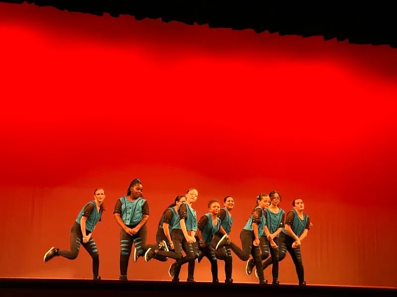 Shell We Dance Academy LLC.