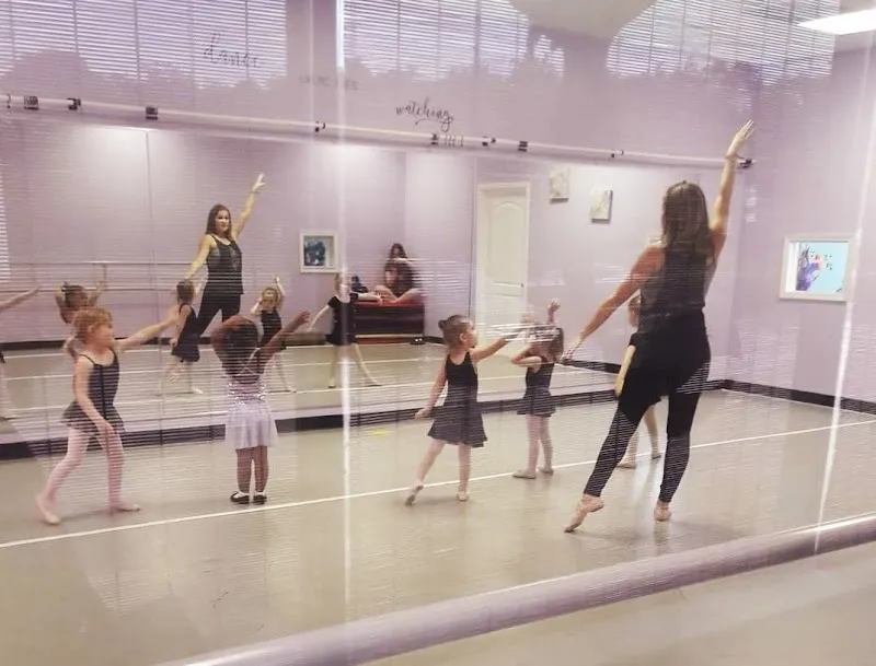 Shell We Dance Academy LLC.