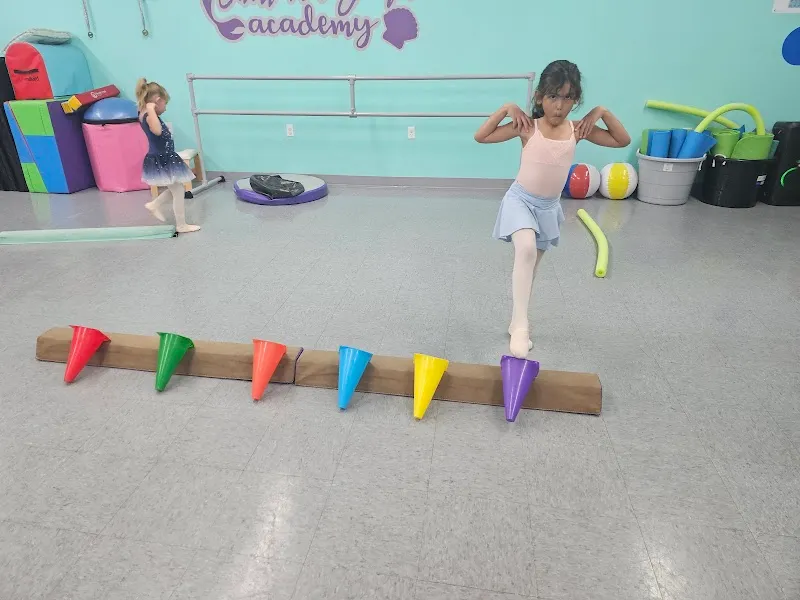 Shell We Dance Academy LLC.