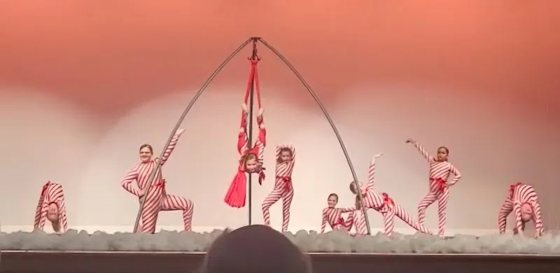 Shell We Dance Academy LLC.