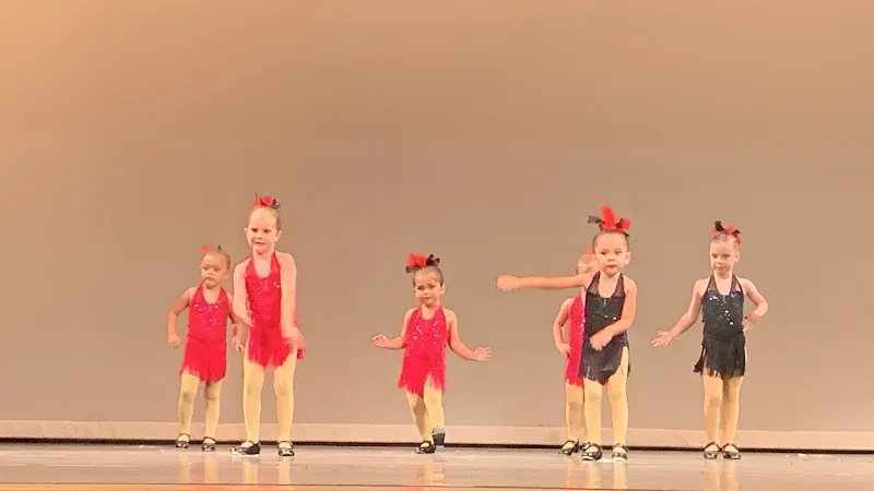 Shell We Dance Academy LLC.