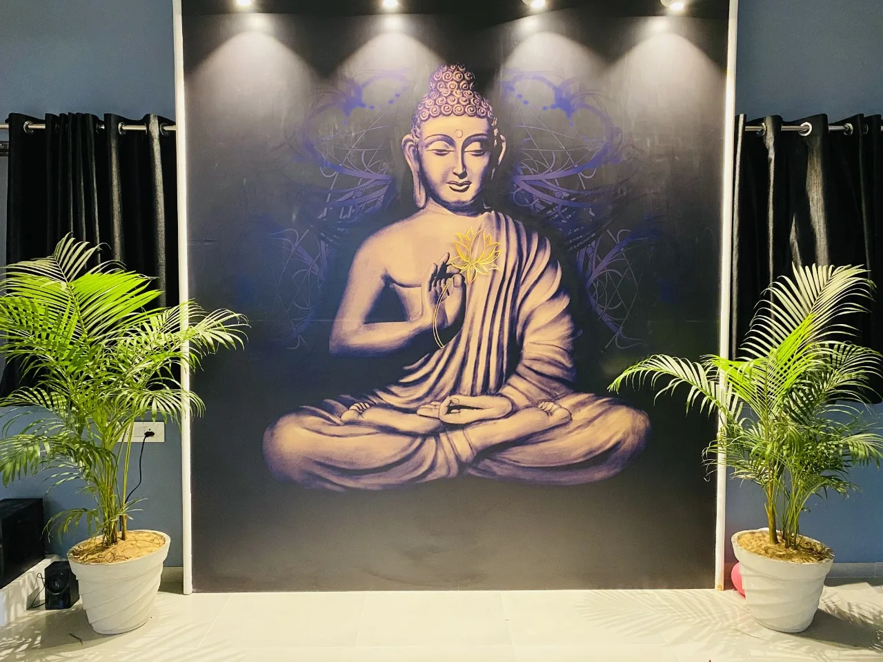 Nidhi's YogaHub