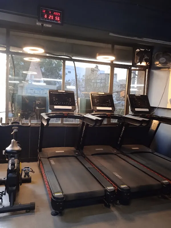 Flex Fusion Gym