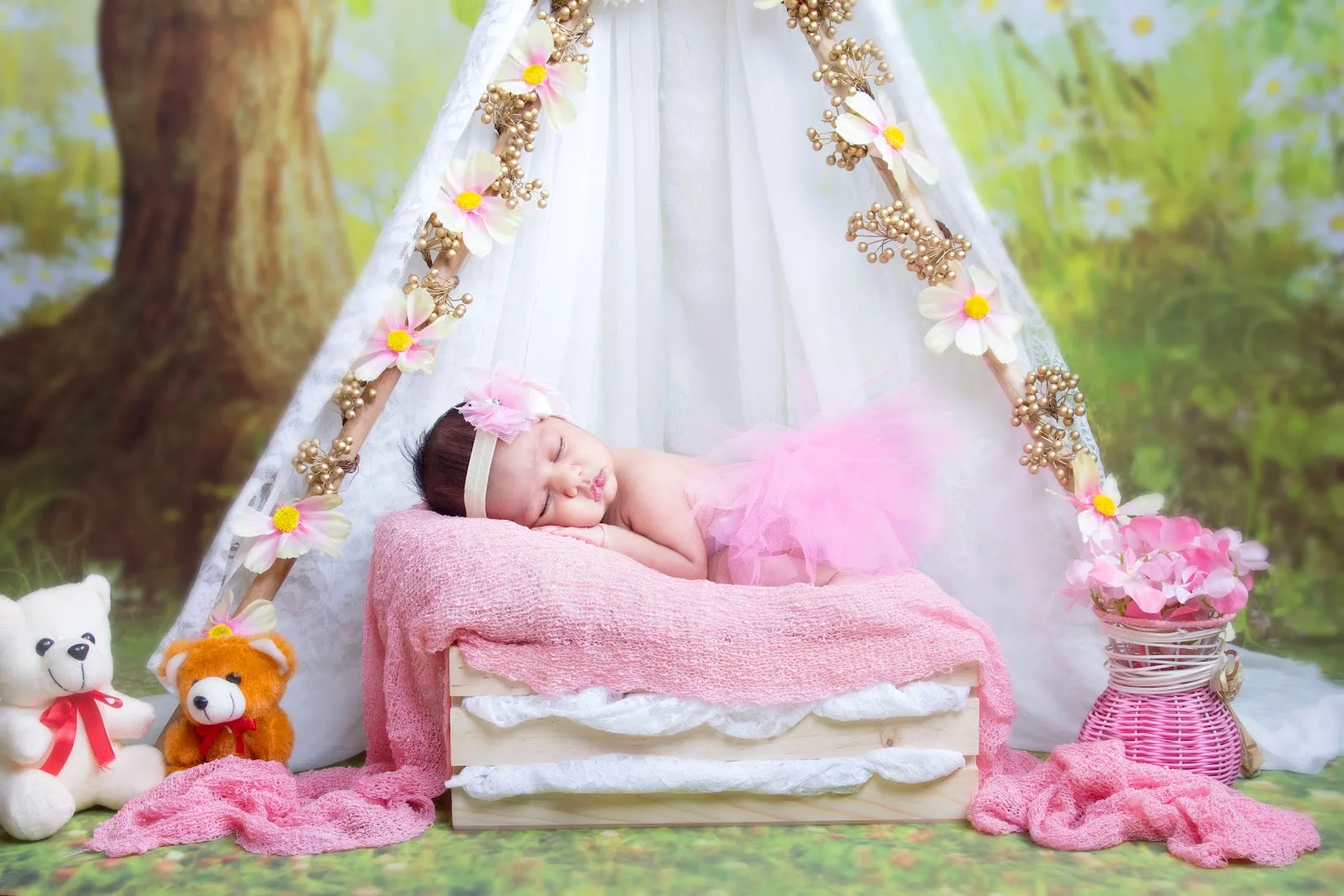 Shriji Photo Studio