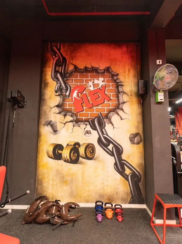 Flex Fitness House Gym