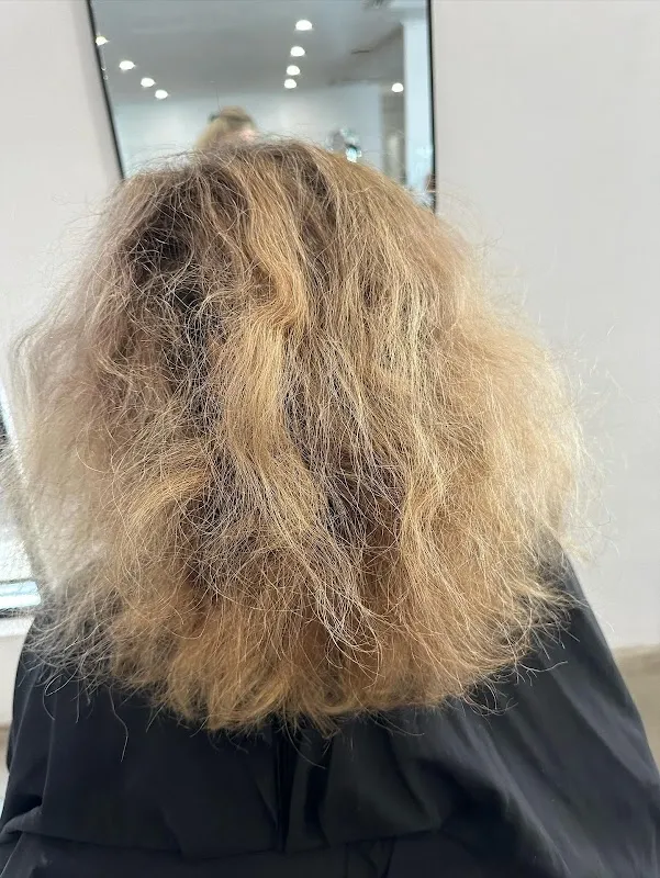 Zest Hair Bundaberg