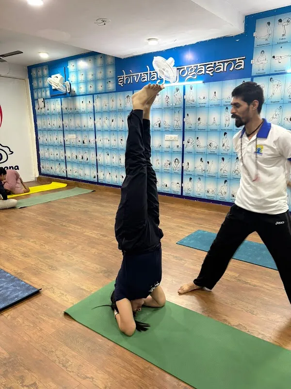 Shivalay Yogasana