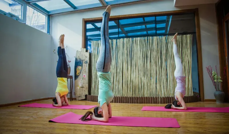 YogaVibes | Yoga Classes in Paschim Vihar