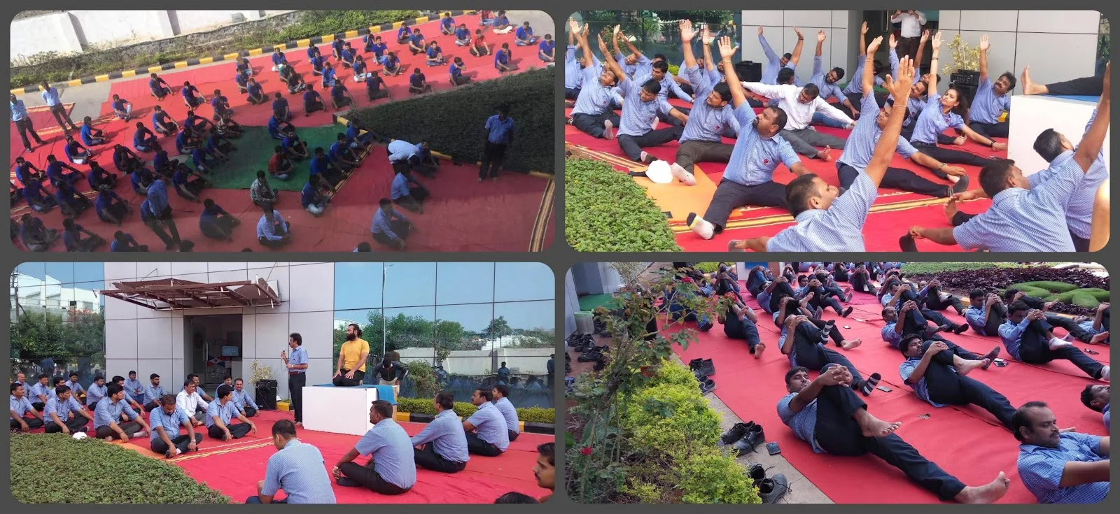 Hatha Yoga Institute
