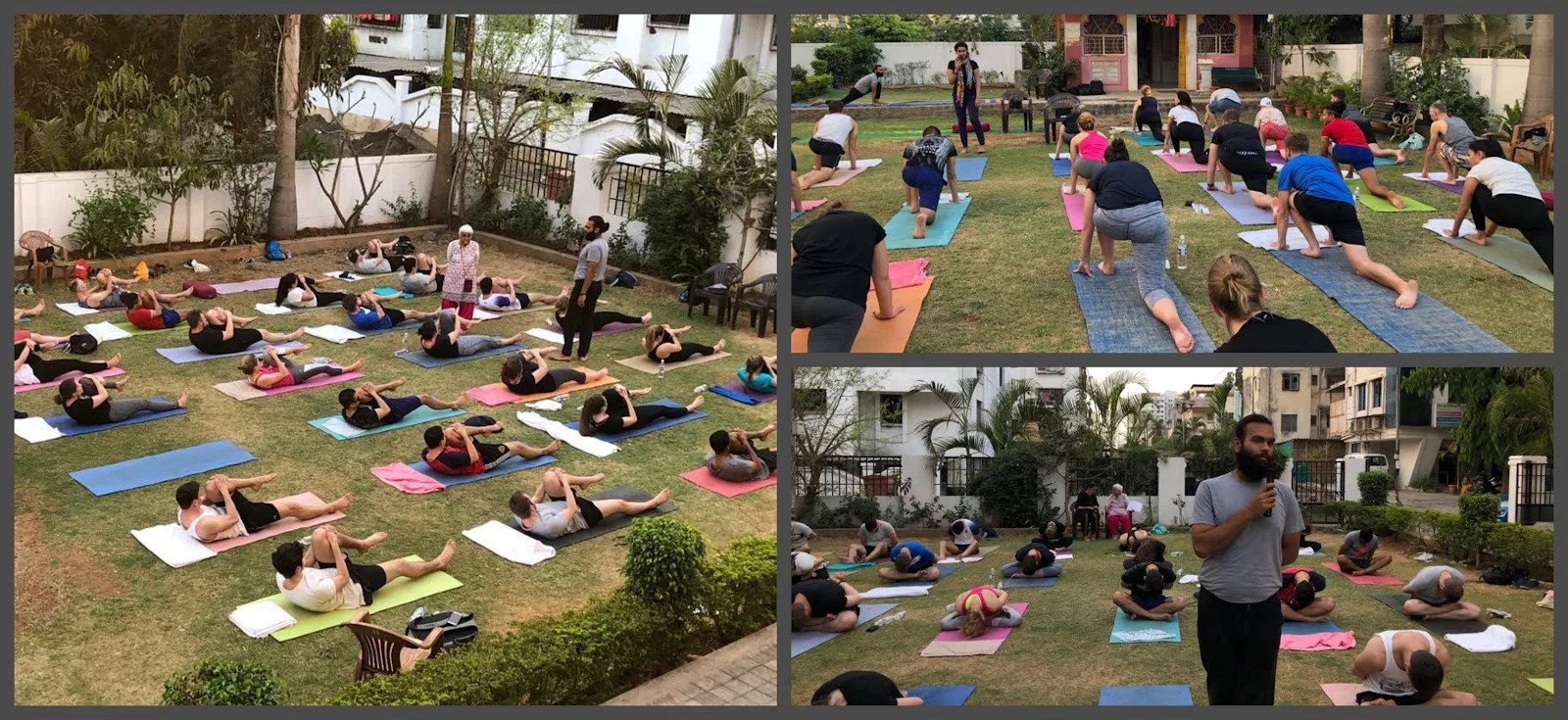 Hatha Yoga Institute
