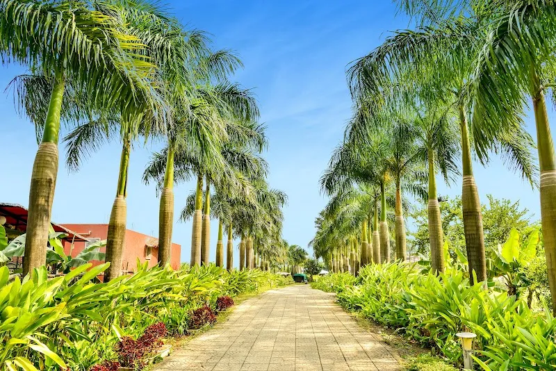 Anchaviyo Resort