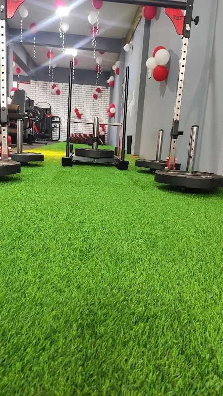 AB Fitness (Alpha Bodyworks)