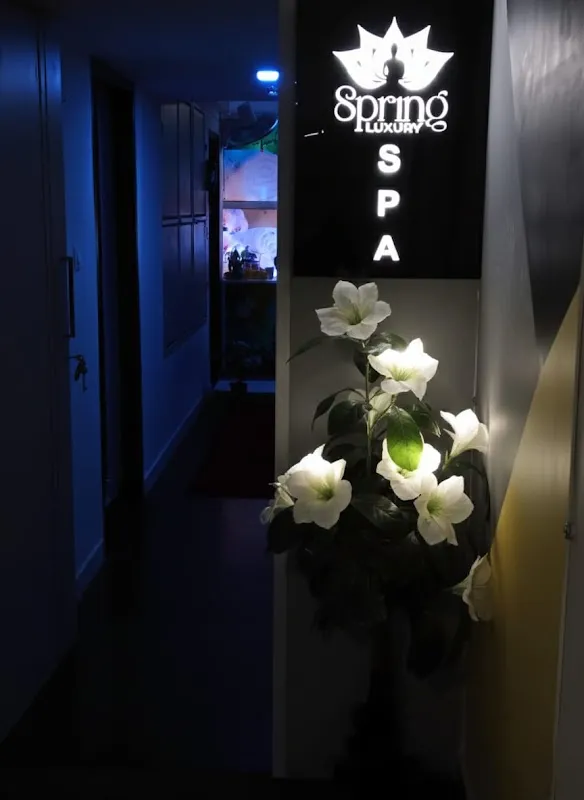 SPRING LUXURY SPA