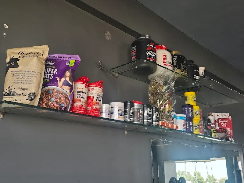 Immortal fitness gym and training
